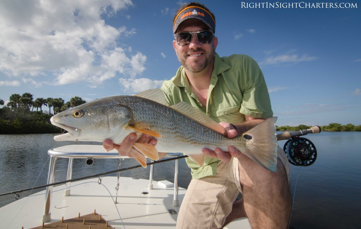 mosquito lagoon, mosquito lagoon fly fishing, fly fishing, sight fishing, tailing redfish, bull redfish, schooling redfish, florida redfish, cca florida, florida guides association, catch and release,