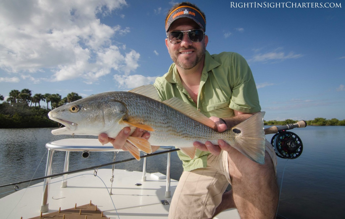 Mosquito Lagoon Sight Fishing Spring – Summer Report – RIGHT IN SIGHT  CHARTERS