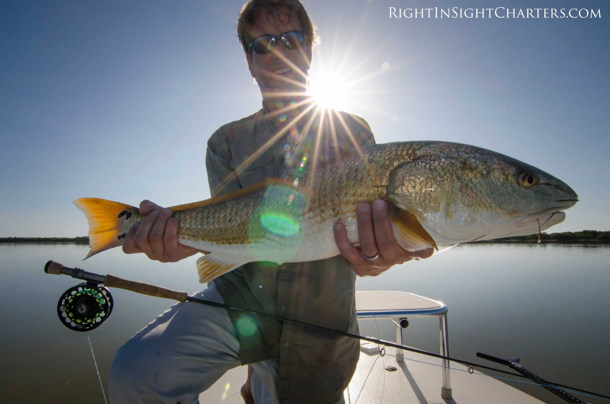 EP Finger Mullet  Orlando Outfitters