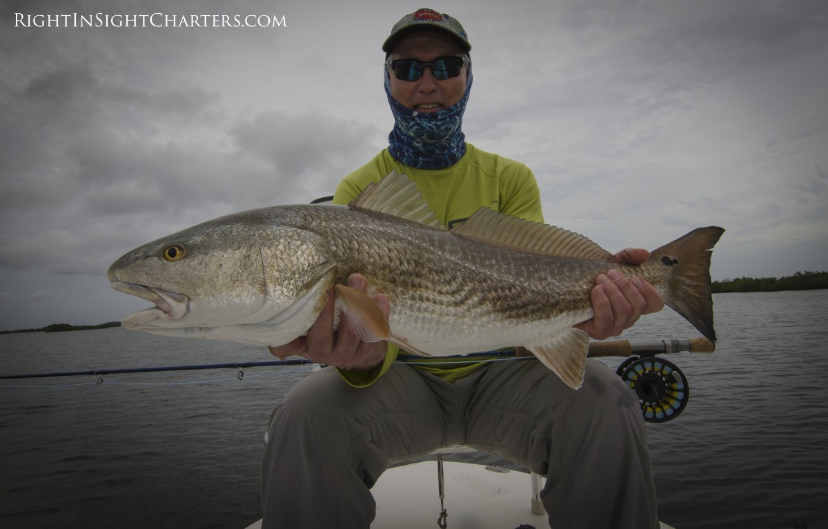 saltwater fishing charters, saltwater fly fishing, fly fishing guide, fly fishing, tailing redfish, redfish flies, fly tying, redfish guide,