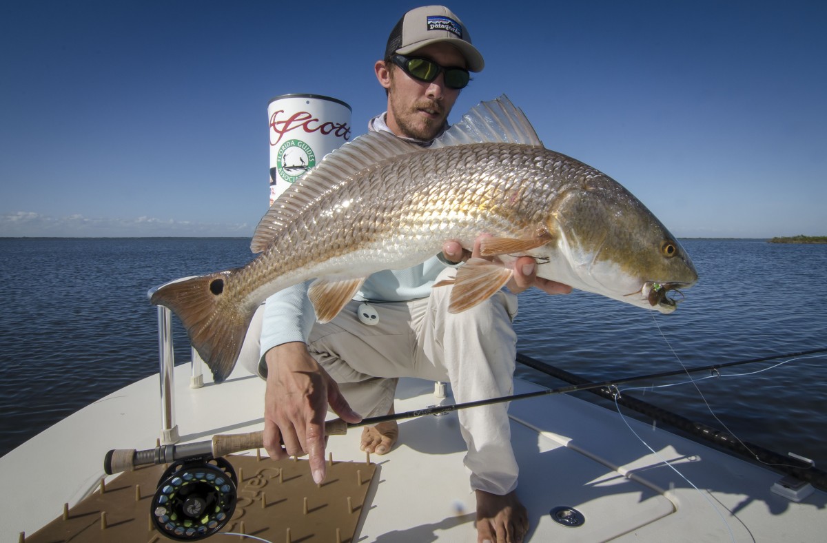 mosquito lagoon fly fishing, fly fishing guide, new smyrna beach fly fishing, redfish on fly, florida fishing, florida fly fishing, florida sight fishing,