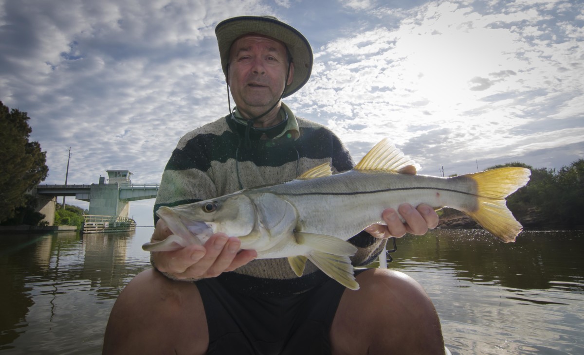 Mosquito Lagoon Sight Fishing Spring – Summer Report – RIGHT IN SIGHT  CHARTERS