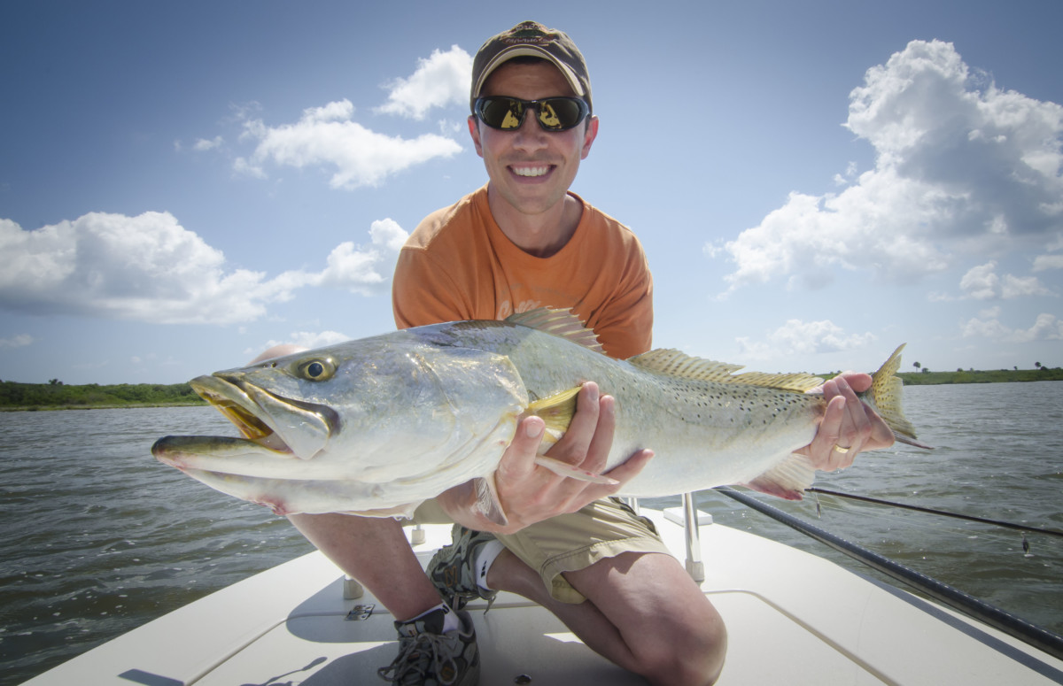 Summer Seatrout in Mosquito Lagoon- the spotted tail