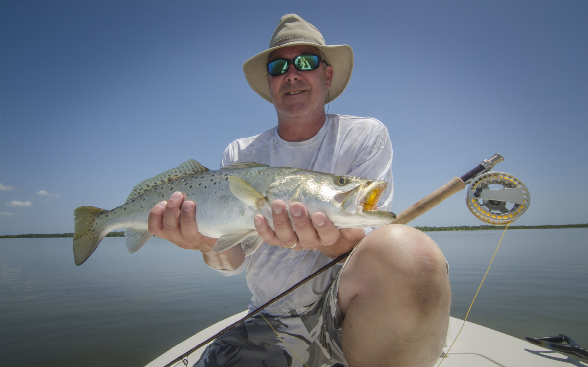 Summer Seatrout in Mosquito Lagoon- the spotted tail