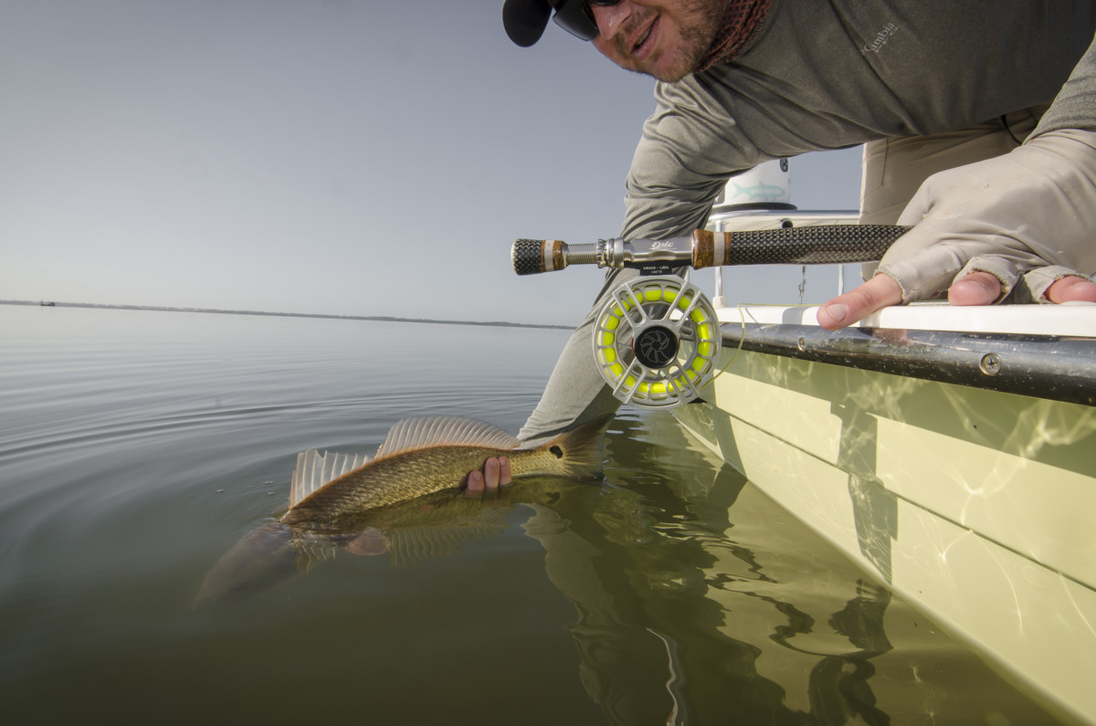 Mosquito Lagoon Fly Fishing & Light Tackle Report Fall-Winter 2016